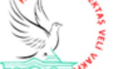 Serçeşme Yayınları