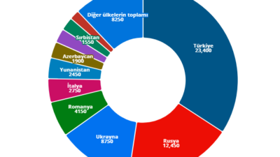 AİHM’de bekleyen davaların önemli bir kısmını Türkiye’den yapılan başvuruların oluşturduğu açıklandı